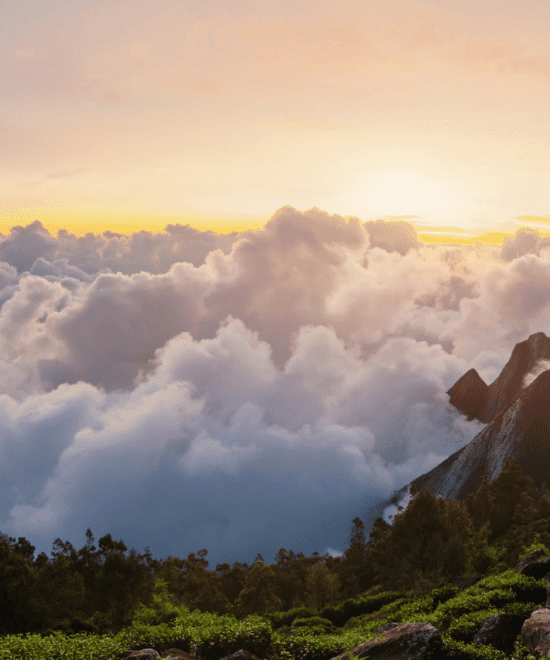 Permit & Guidelines for Meesapulimala Trek