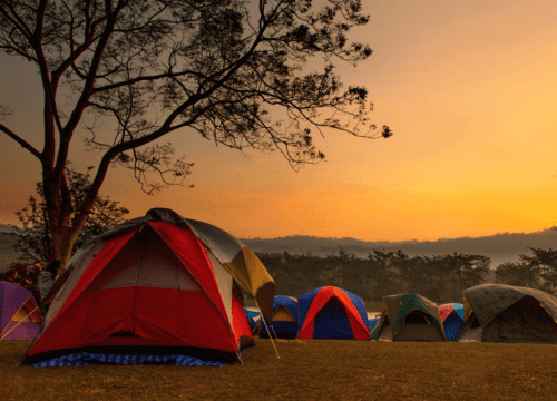 Camping & Nature Stays