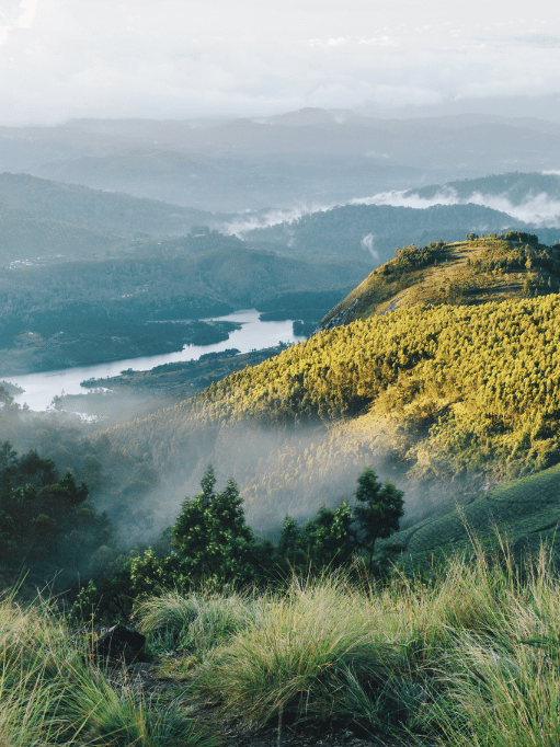 Meesapulimala Trek Packing List: What to Carry for a Safe and Scenic Hike