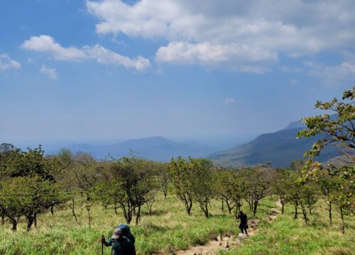 Best Time to Trek in Kerala: Weather, Seasons & What to Expect