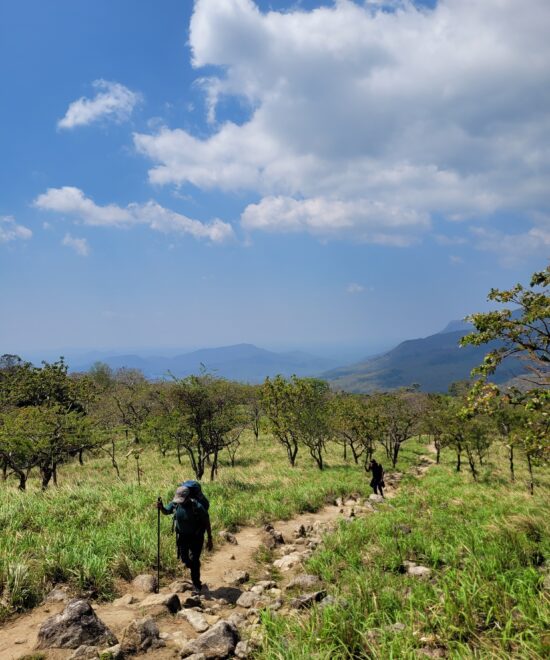 Best Time to Trek in Kerala: Weather, Seasons & What to Expect