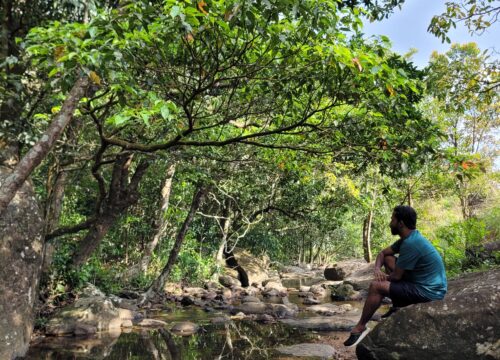Top 3 Easy Treks in Kerala for Beginners: Scenic Adventures Await!
