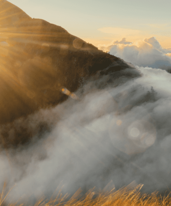 Meesapulimala Trek Packing List: What to Carry for a Safe and Scenic Hike