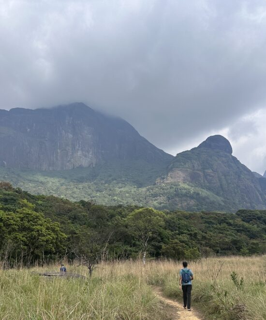 Agasthyarkoodam Trek: Discover Mythical Trails & Biodiversity in Kerala’s Western Ghats
