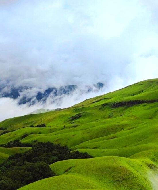 Trekking Season Reopens in Karnataka and Tamil Nadu – Permits Now Available!
