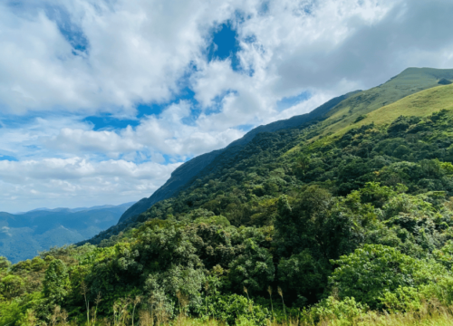 Trekking in Kerala: 14 Trails That Lead You Deep into the Western Ghats