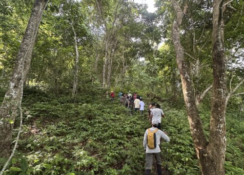 Beyond the Summit: Why Arippa Is More Than Just a Trek