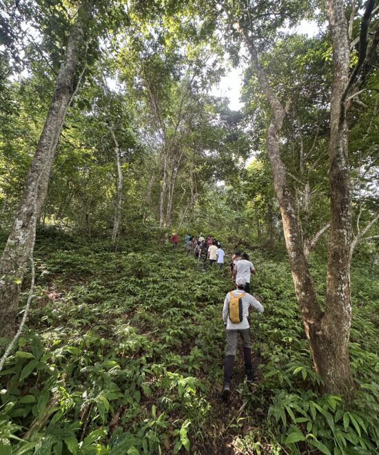 Beyond the Summit: Why Arippa Is More Than Just a Trek