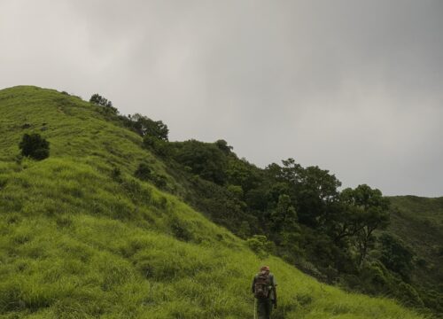 Brahmagiri Peak Trek, Wayanad | 2D/1N Adventure Package