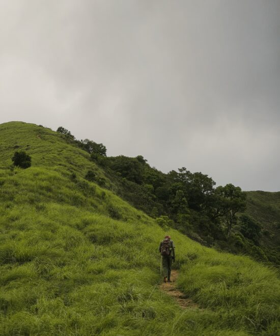 Brahmagiri Peak Trek, Wayanad | 2D/1N Adventure Package