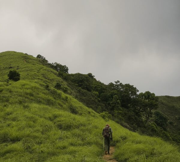 Brahmagiri Peak Trek, Wayanad | 2D/1N