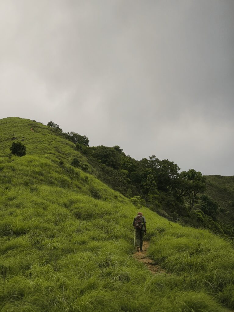 Trekkers on the Brahmagiri Peak trail, Wayanad