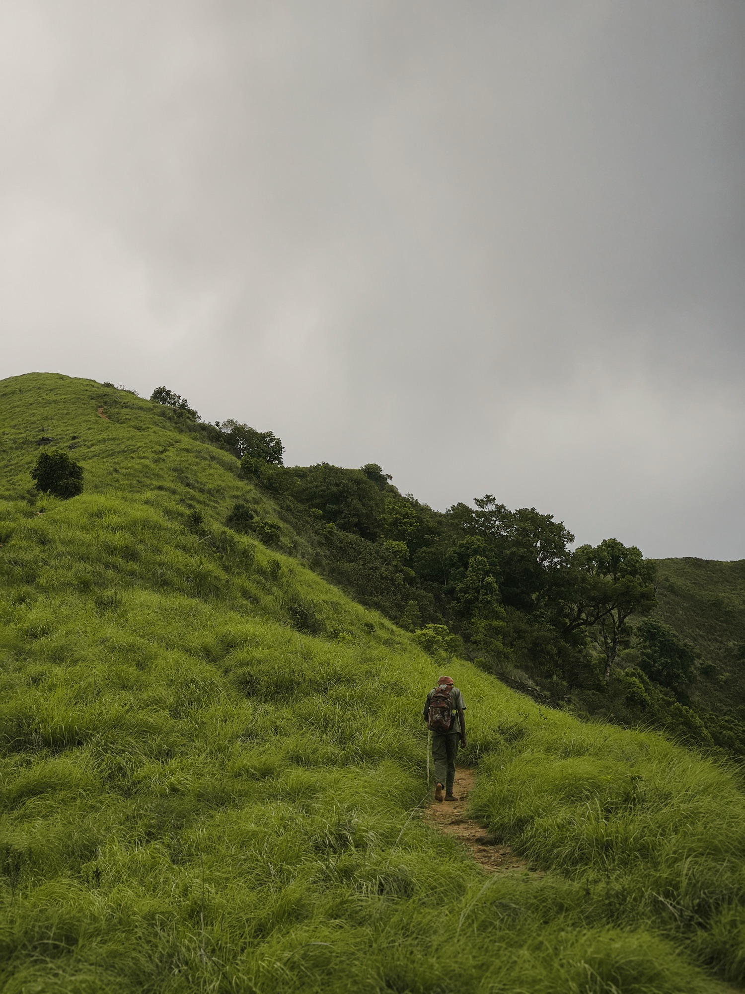 Brahmagiri Peak Trek, Wayanad | 2D/1N Adventure Package