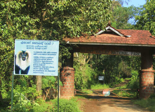 Silent Valley Forest Trek | 2D/1N