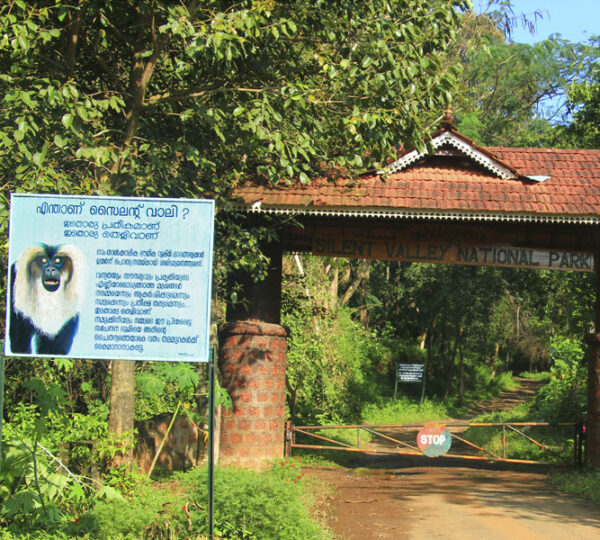 Silent Valley Forest Trek | 2D/1N