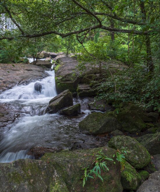Peechi Moodalmala Trek, Thrissur | 1 DAY