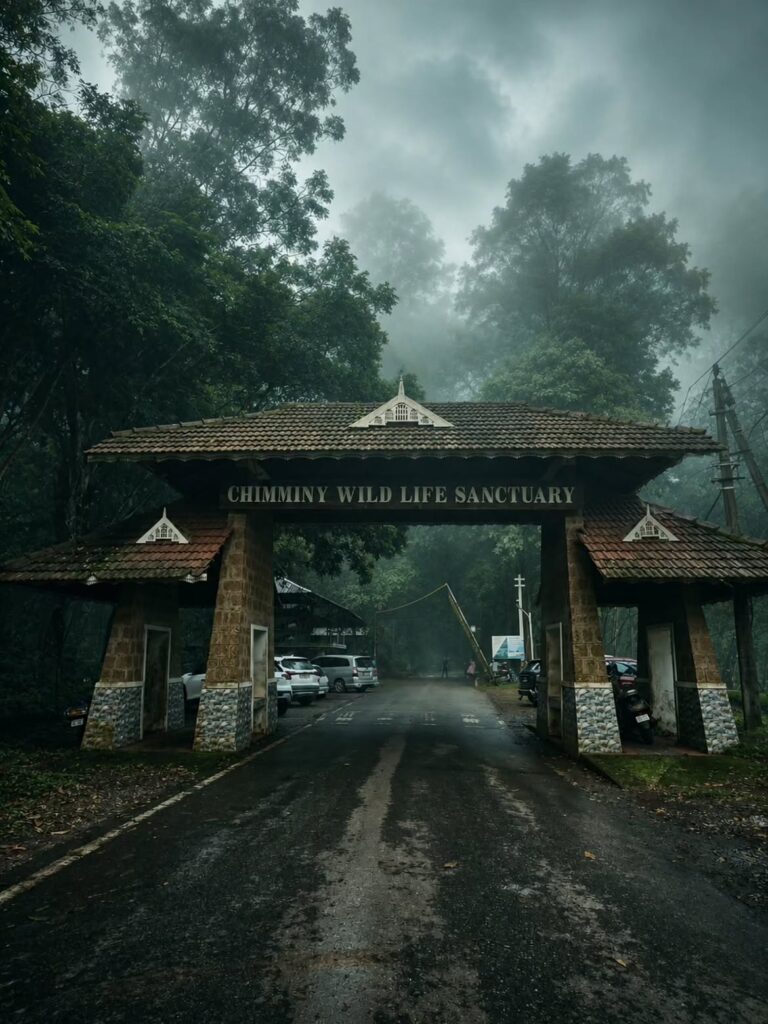 Chimmini Wildlife Sanctuary entrance gate on a misty morning before a trek near Thrissur