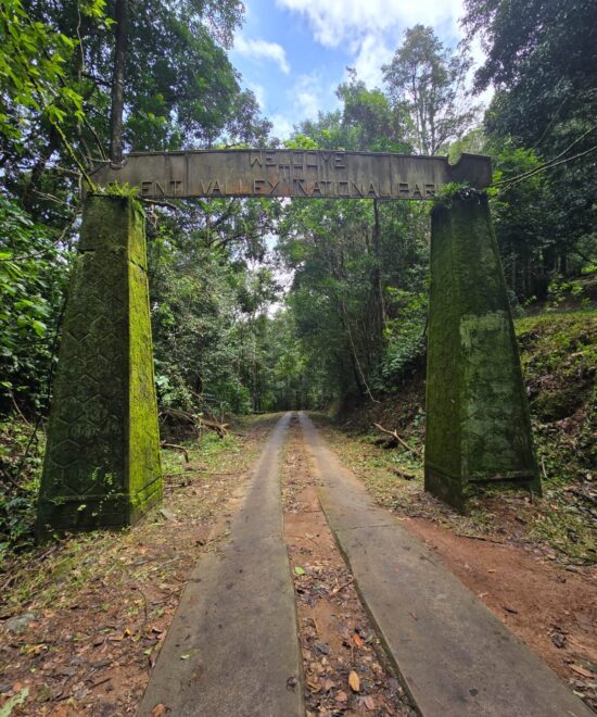 Silent Valley Forest Trek | 2D/1N