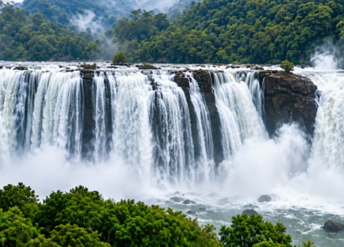 Athirappilly Waterfall Trek, Thrissur | 9 km | 1 Day