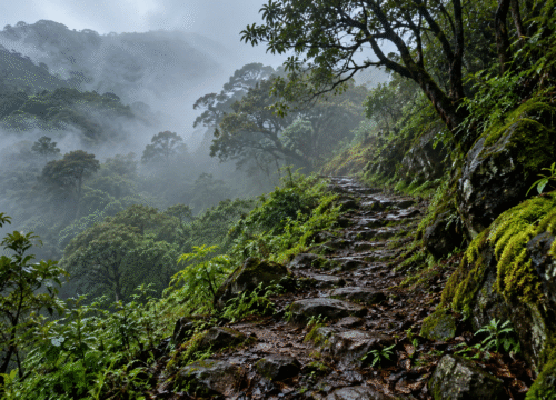 Sispara Ghat: The Forgotten Malabar–Nilgiri Route Through Silent Valley