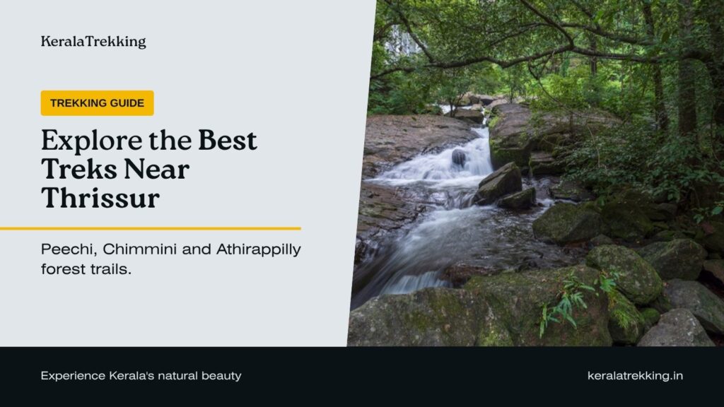 Best treks near Thrissur – forest stream in Peechi–Vazhani Wildlife Sanctuary