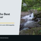 Best treks near Thrissur – forest stream in Peechi–Vazhani Wildlife Sanctuary