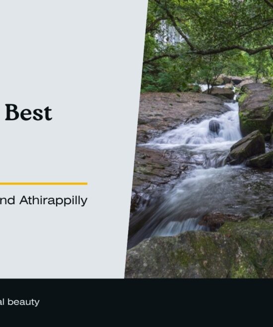 Best Treks Near Thrissur: 5 Forest Trails to Try