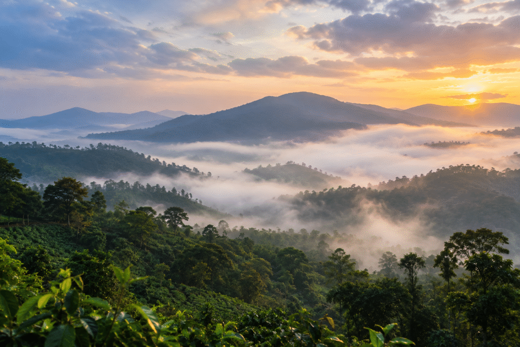 Misty green mountains and forested valleys in Wayanad, Kerala