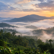 Misty green mountains and forested valleys in Wayanad, Kerala